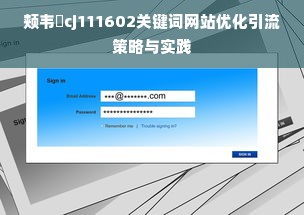 颊韦杺cj111602关键词网站优化引流策略与实践