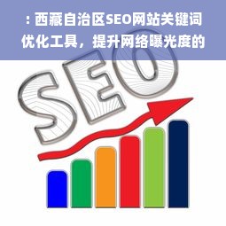 : 西藏自治区SEO网站关键词优化工具，提升网络曝光度的秘籍