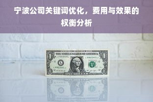 宁波公司关键词优化，费用与效果的权衡分析