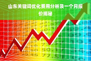 山东关键词优化费用分析及一个月报价揭秘