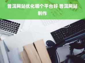 普洱网站优化哪个平台好 普洱网站制作