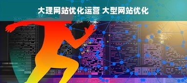 大理网站优化运营 大型网站优化