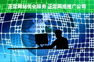 正定网站优化服务 正定网络推广公司