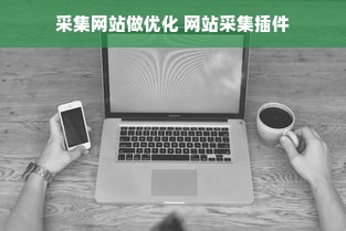 采集网站做优化 网站采集插件