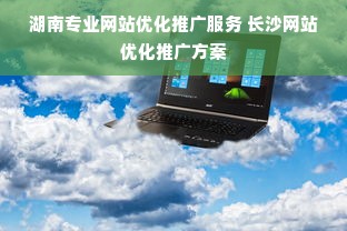 湖南专业网站优化推广服务 长沙网站优化推广方案