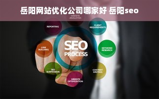 岳阳网站优化公司哪家好 岳阳seo