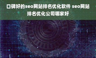 口碑好的seo网站排名优化软件 seo网站排名优化公司哪家好