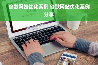 谷歌网站优化案例 谷歌网站优化案例分享