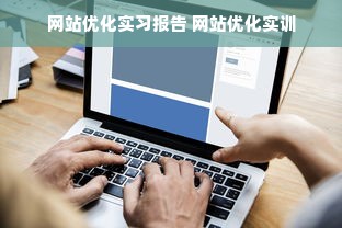 网站优化实习报告 网站优化实训