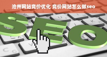 沧州网站竞价优化 竞价网站怎么做seo