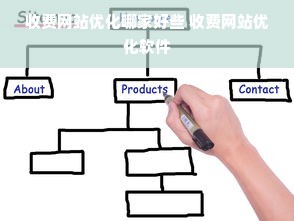 收费网站优化哪家好些 收费网站优化软件