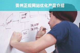 贵州正规网站优化产品介绍