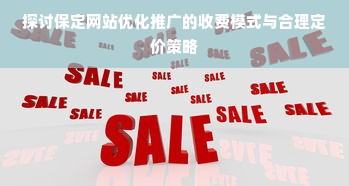 探讨保定网站优化推广的收费模式与合理定价策略