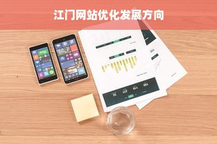 江门网站优化发展方向