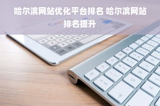 哈尔滨网站优化平台排名 哈尔滨网站排名提升