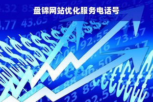 盘锦网站优化服务电话号