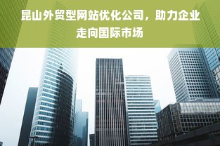 昆山外贸型网站优化公司，助力企业走向国际市场