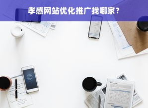 孝感网站优化推广找哪家？