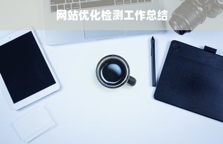 网站优化检测工作总结