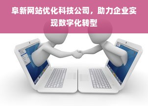 阜新网站优化科技公司，助力企业实现数字化转型