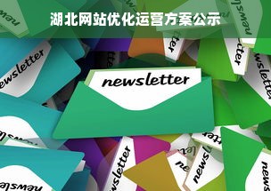 湖北网站优化运营方案公示