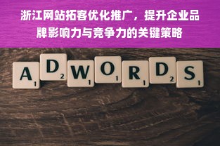 浙江网站拓客优化推广，提升企业品牌影响力与竞争力的关键策略