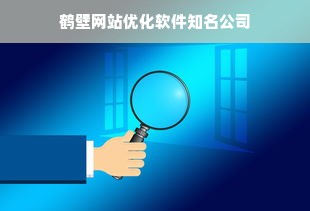 鹤壁网站优化软件知名公司