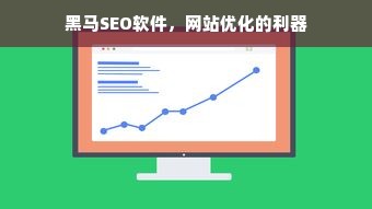 黑马SEO软件，网站优化的利器