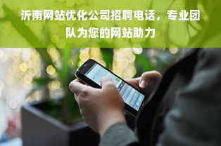 沂南网站优化公司招聘电话，专业团队为您的网站助力