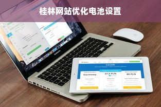 桂林网站优化电池设置