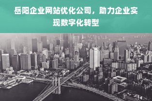 岳阳企业网站优化公司，助力企业实现数字化转型