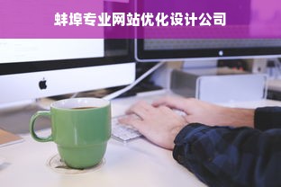 蚌埠专业网站优化设计公司