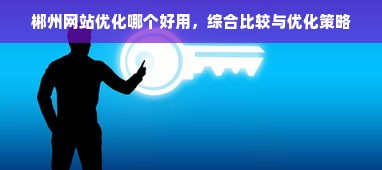 郴州网站优化哪个好用，综合比较与优化策略