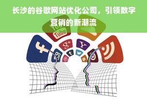 长沙的谷歌网站优化公司，引领数字营销的新潮流