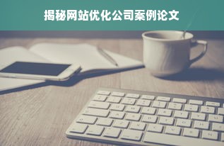 揭秘网站优化公司案例论文