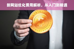 新网站优化费用解析，从入门到精通