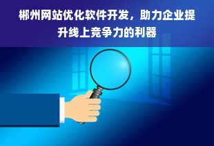 郴州网站优化软件开发，助力企业提升线上竞争力的利器