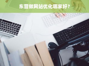 东营做网站优化哪家好？