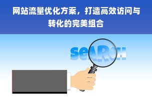 网站流量优化方案，打造高效访问与转化的完美组合