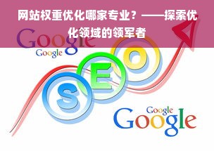 网站权重优化哪家专业？——探索优化领域的领军者