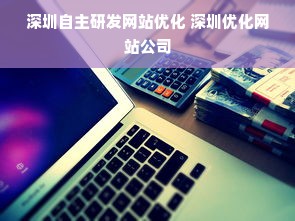 深圳自主研发网站优化 深圳优化网站公司