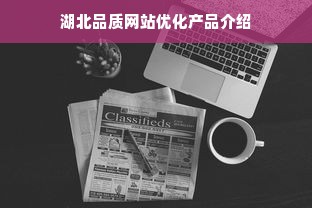 湖北品质网站优化产品介绍