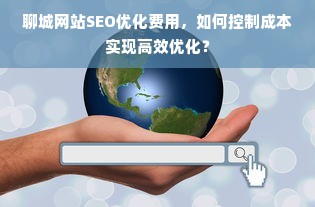 聊城网站SEO优化费用，如何控制成本实现高效优化？