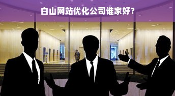 白山网站优化公司谁家好？