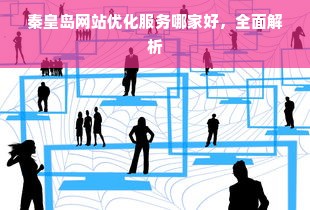 秦皇岛网站优化服务哪家好，全面解析