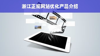 浙江正规网站优化产品介绍