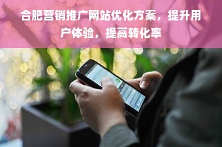 合肥营销推广网站优化方案，提升用户体验，提高转化率