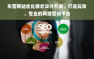 东营网站优化模式设计开发，打造高效、专业的网络营销平台