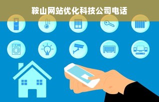 鞍山网站优化科技公司电话