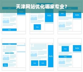 天津网站优化哪家专业？